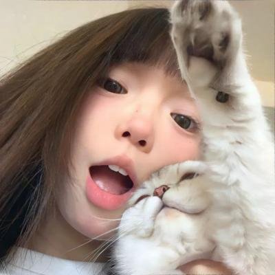 喵喵博物馆